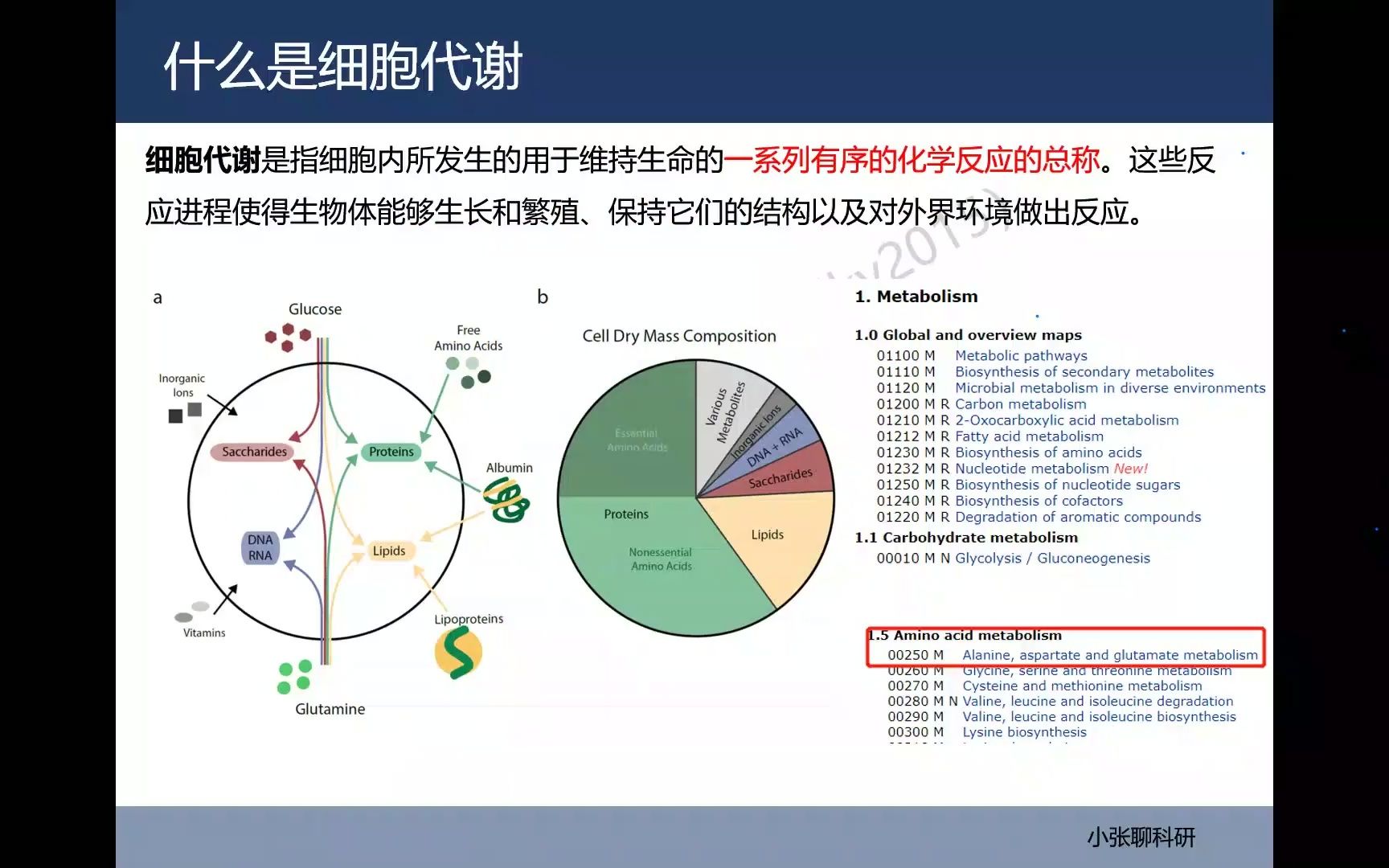 科研热点系列讲座之细胞代谢哔哩哔哩bilibili