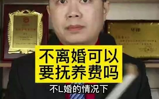 不离婚可以要抚养费吗哔哩哔哩bilibili