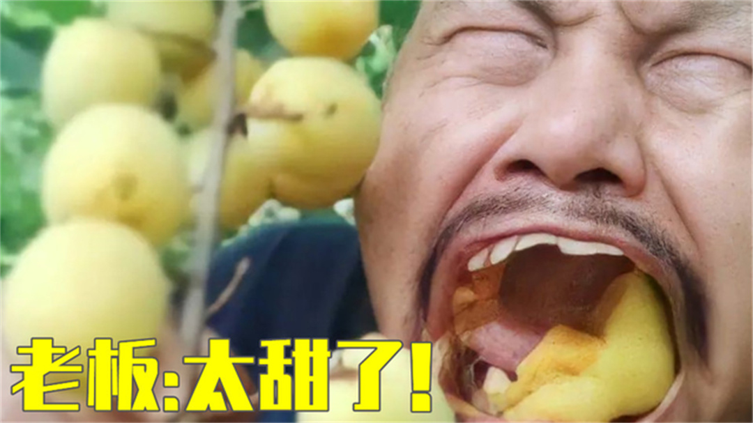 盘点大型直播带货翻车现场,反向带货最为致命,商家哭晕在厕所