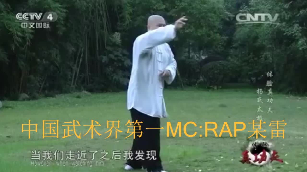 中国第一MC:RAP某雷《一人我鸟最大》!!!哔哩哔哩bilibili