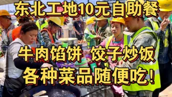 这赚的是什么钱！东北工地10元自助餐，牛肉馅饼！饺子炒饭！几十种菜品随便吃！