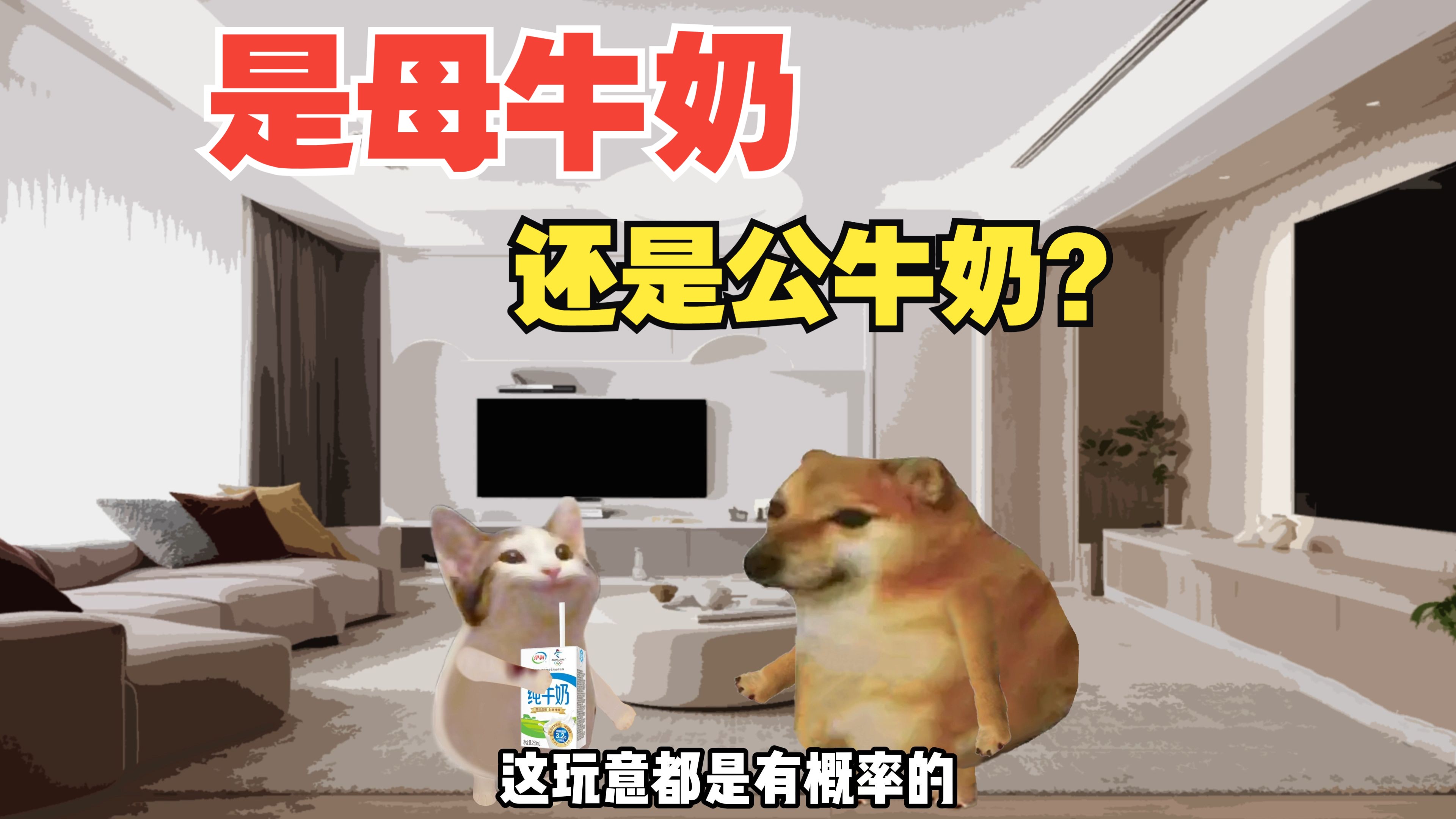 是母牛奶还是公牛奶哔哩哔哩bilibili