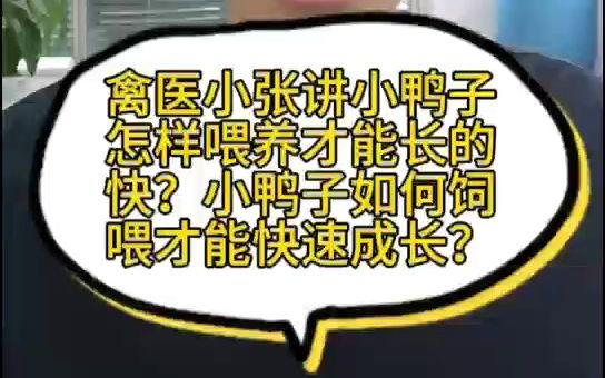 禽医小张讲小鸭子怎样喂养才能长的快?小鸭子如何饲喂才能快速成长?怎样喂鸭子长得快小鸭子喂养注意事项小鸭子应该怎么喂养小鸭子怎么喂养才是最佳...