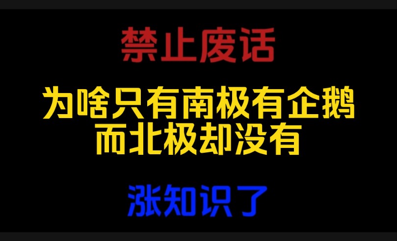 禁止废话:为啥只有南极有企鹅而北极却没有?哔哩哔哩bilibili