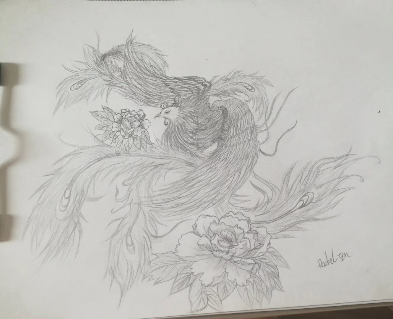 凤凰牡丹,么得功底凑活看吧