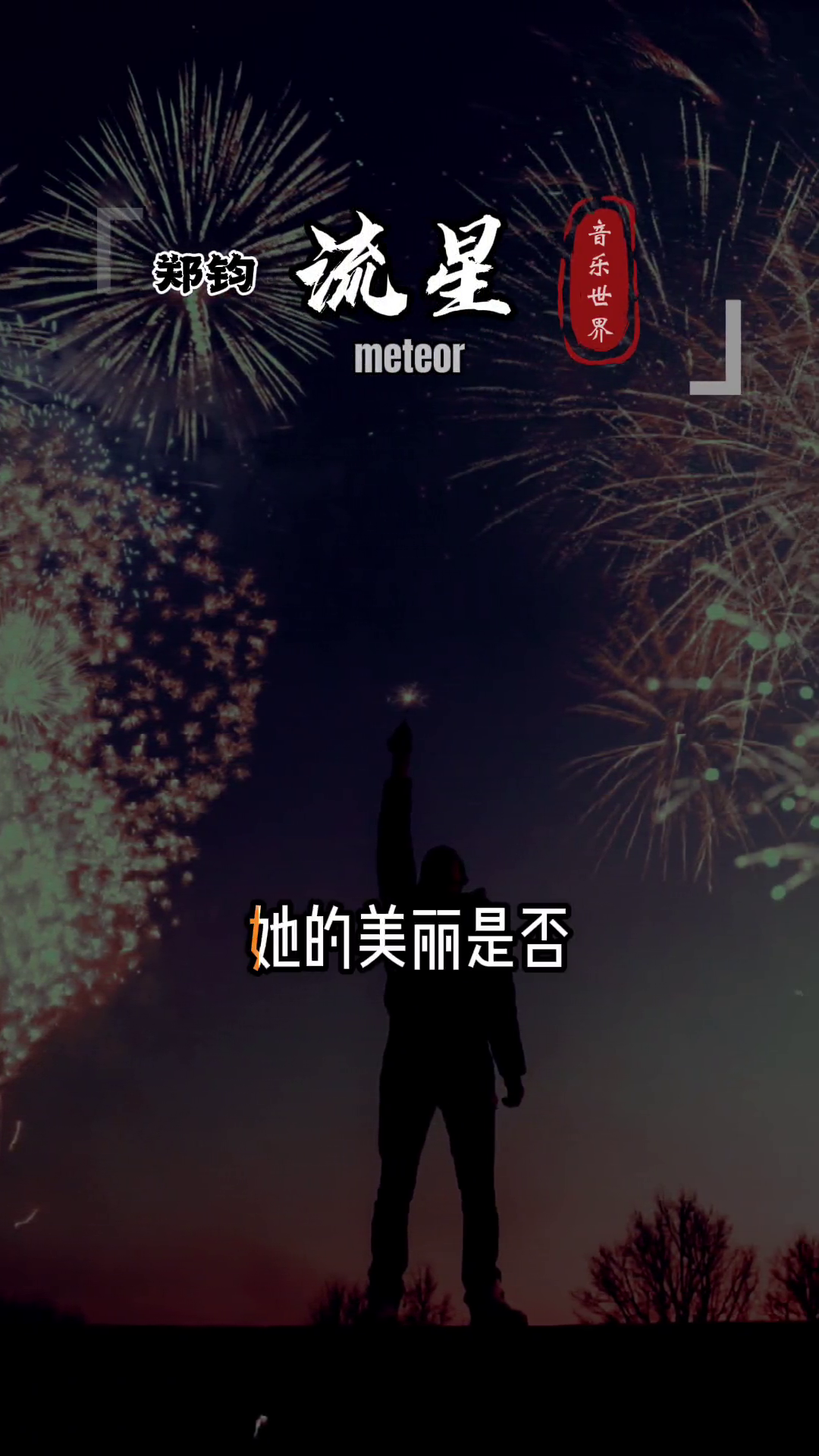 流星郑钧好歌分享我不知道流星可以飞多久她的美丽是否可以去寻求
