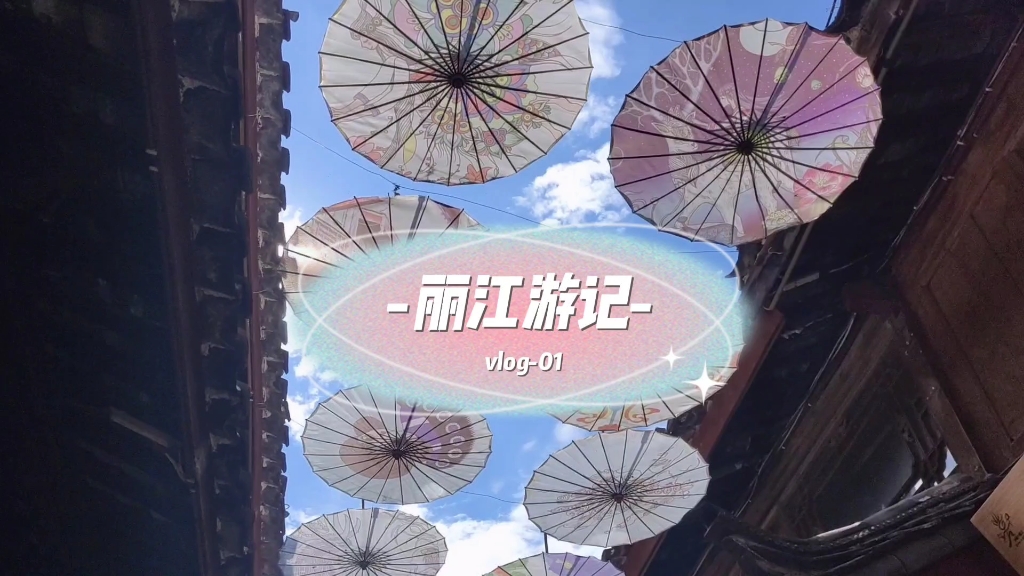 【我的旅行日记】一个人的旅行也可以很有趣!丽江第一天!哔哩哔哩bilibili