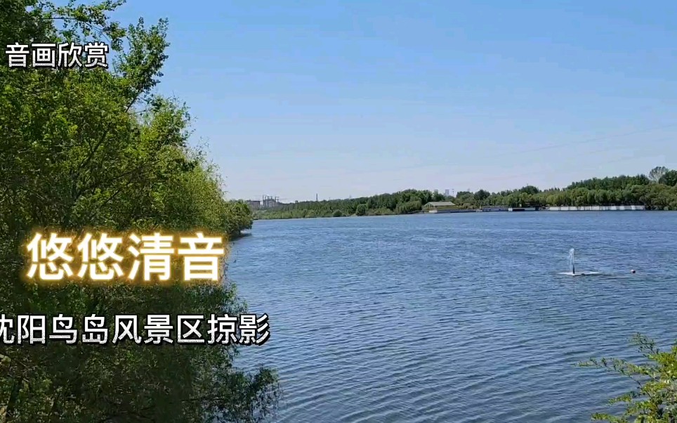 [图]音画欣赏《悠悠清音》涤荡静心。潺潺流水，净化心灵！