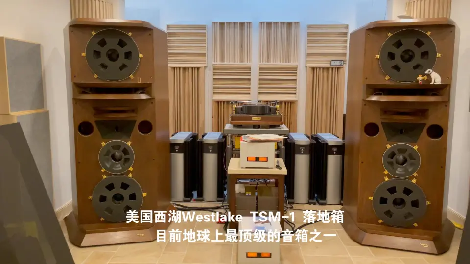 美国西湖Westlake TSM-1 双18寸落地箱，目前地球上最顶级的音箱之一_哔 