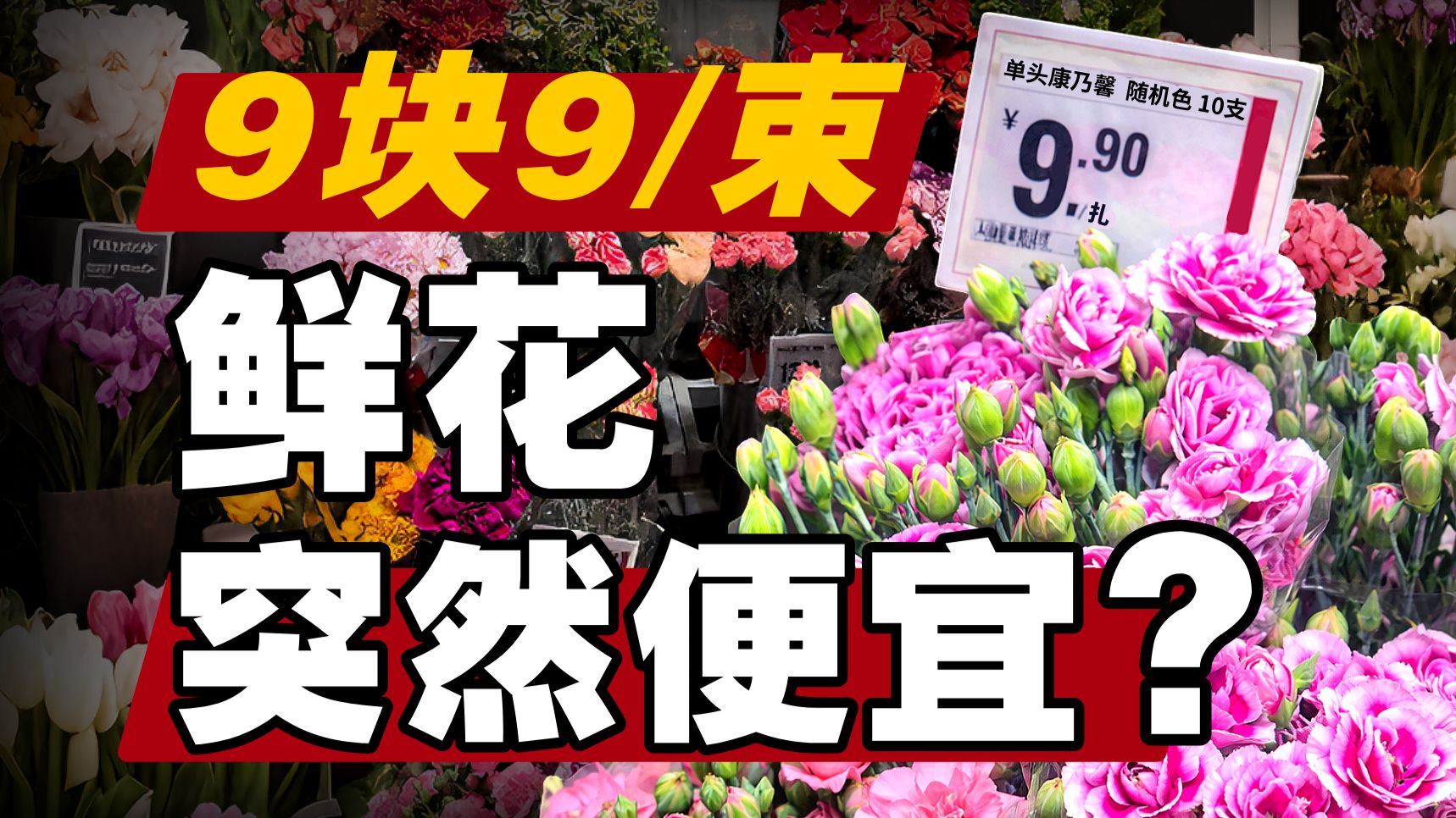 鲜花为什么越来越便宜？9块9花束产业链真相【暗中观察437】IC实验室