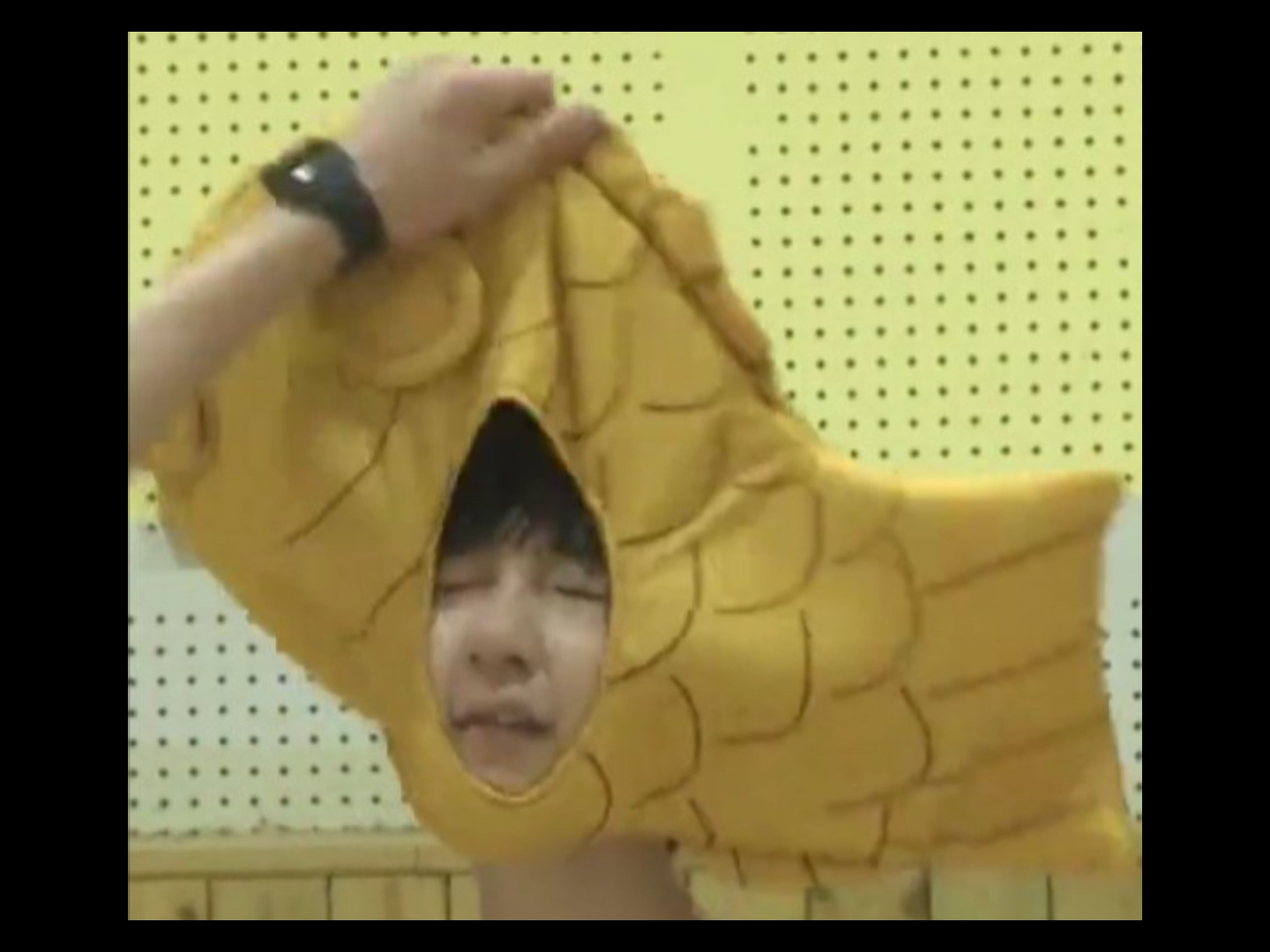 贺峻霖今日考古小贺牌鲷鱼烧tv