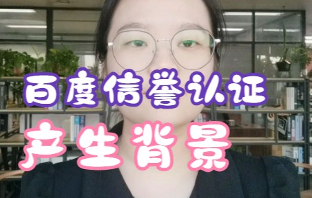 百度信誉认证产生背景哔哩哔哩bilibili