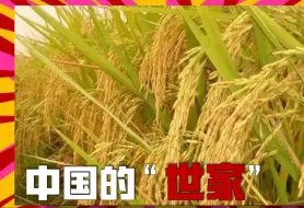 Download Video: 今我何功德，曾不事农桑？