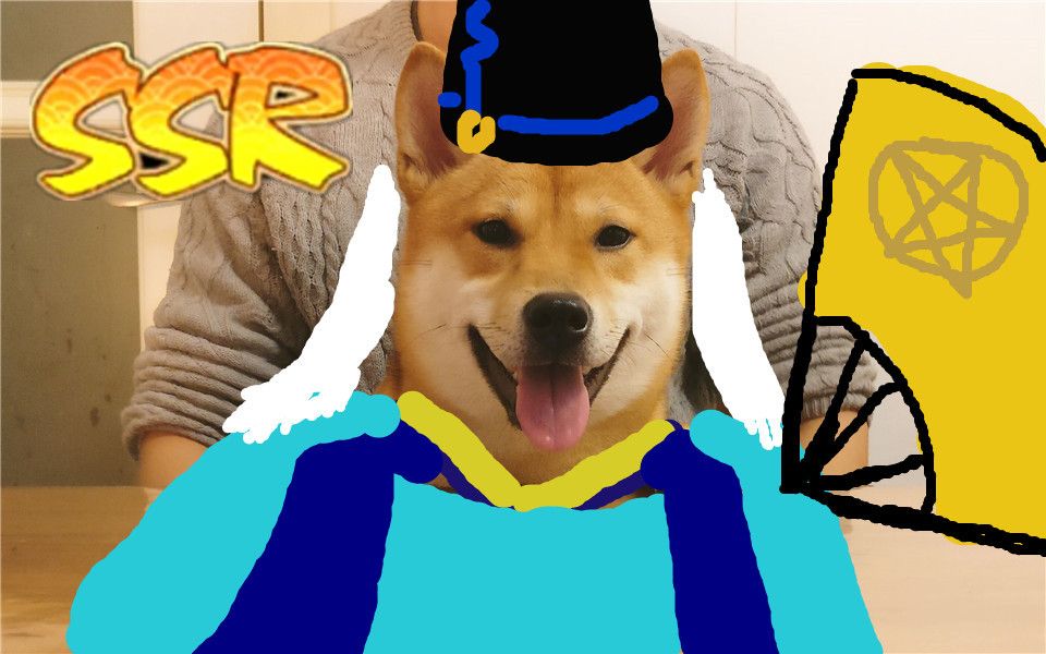 柴犬jojo柴犬直播抽阴阳师第二集偷渡or坠机