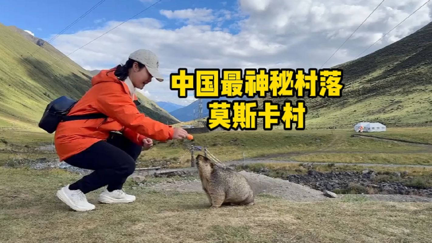 川西海拔4000米的莫斯卡村,村子附近遍地都是土拨鼠,你来过吗哔哩哔哩bilibili