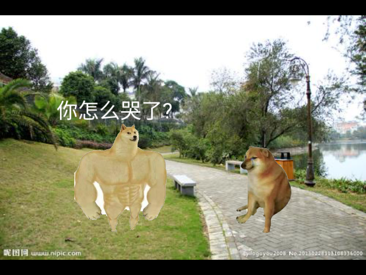 胎肌肉狗与cheems