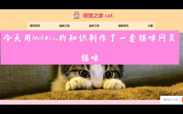 html+css网页设计宠物源代码哔哩哔哩bilibili