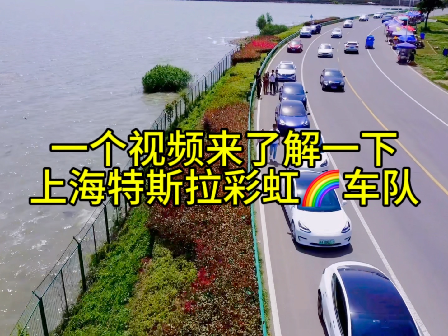 上海彩虹车队图片