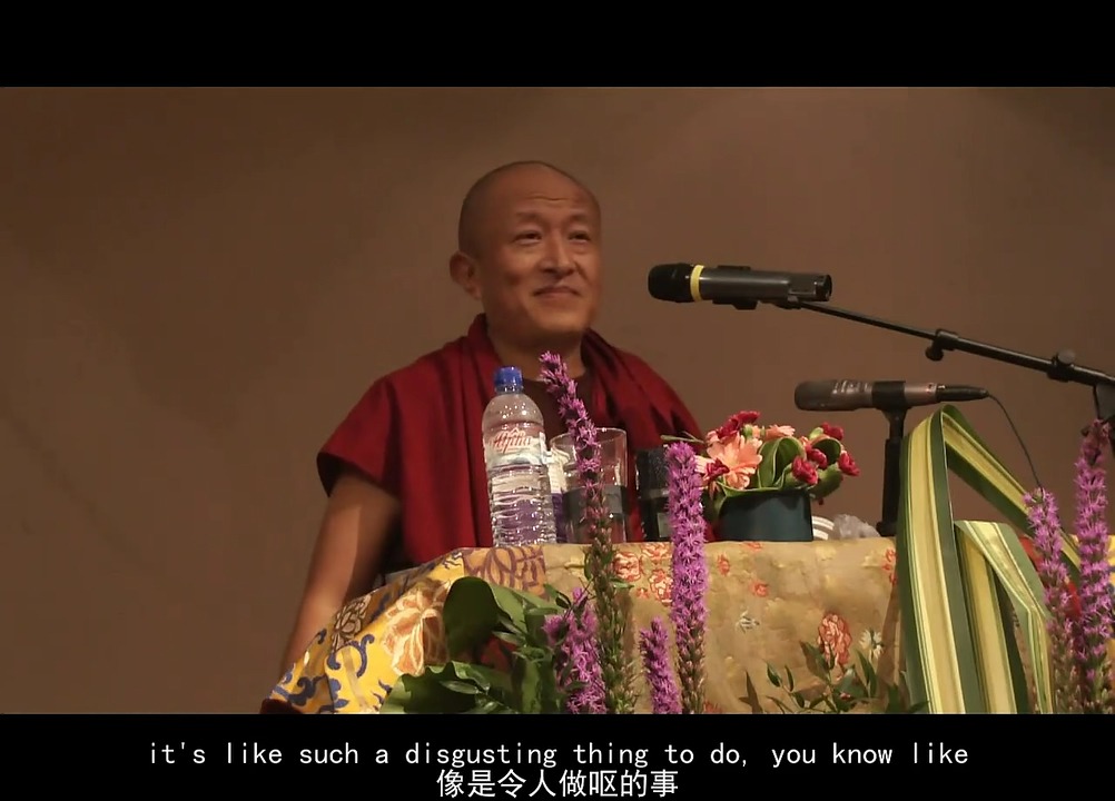 爱情与关系--宗萨仁波切 超清(720p)