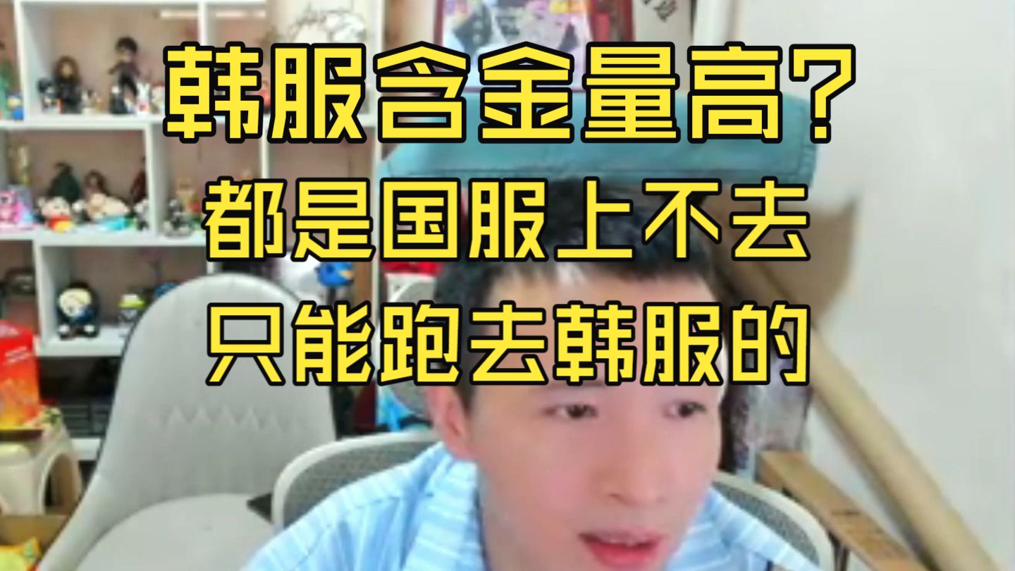 文森特:天天吹韩服含金量高,都是国服上不去分的!要不是国服喜欢扣10点信誉分,哪有韩服的事情