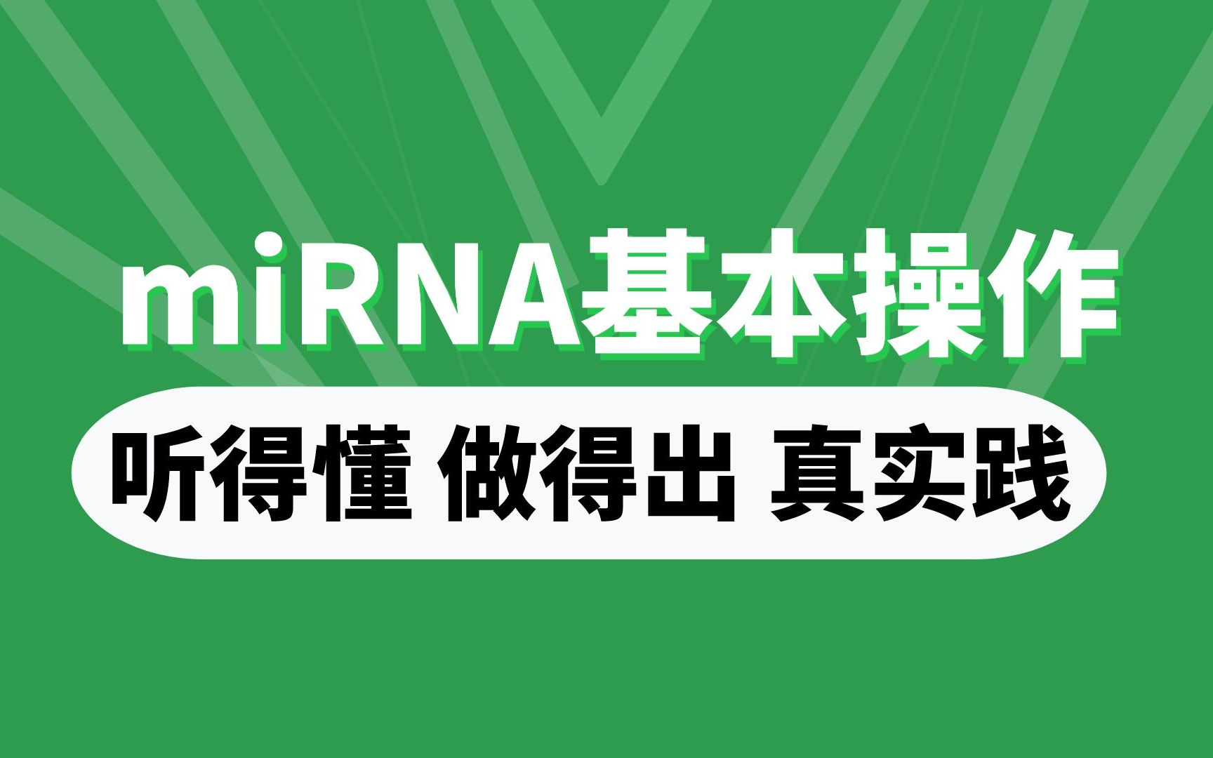 研究miRNA,这么完美的技术路线专家也要点赞!哔哩哔哩bilibili