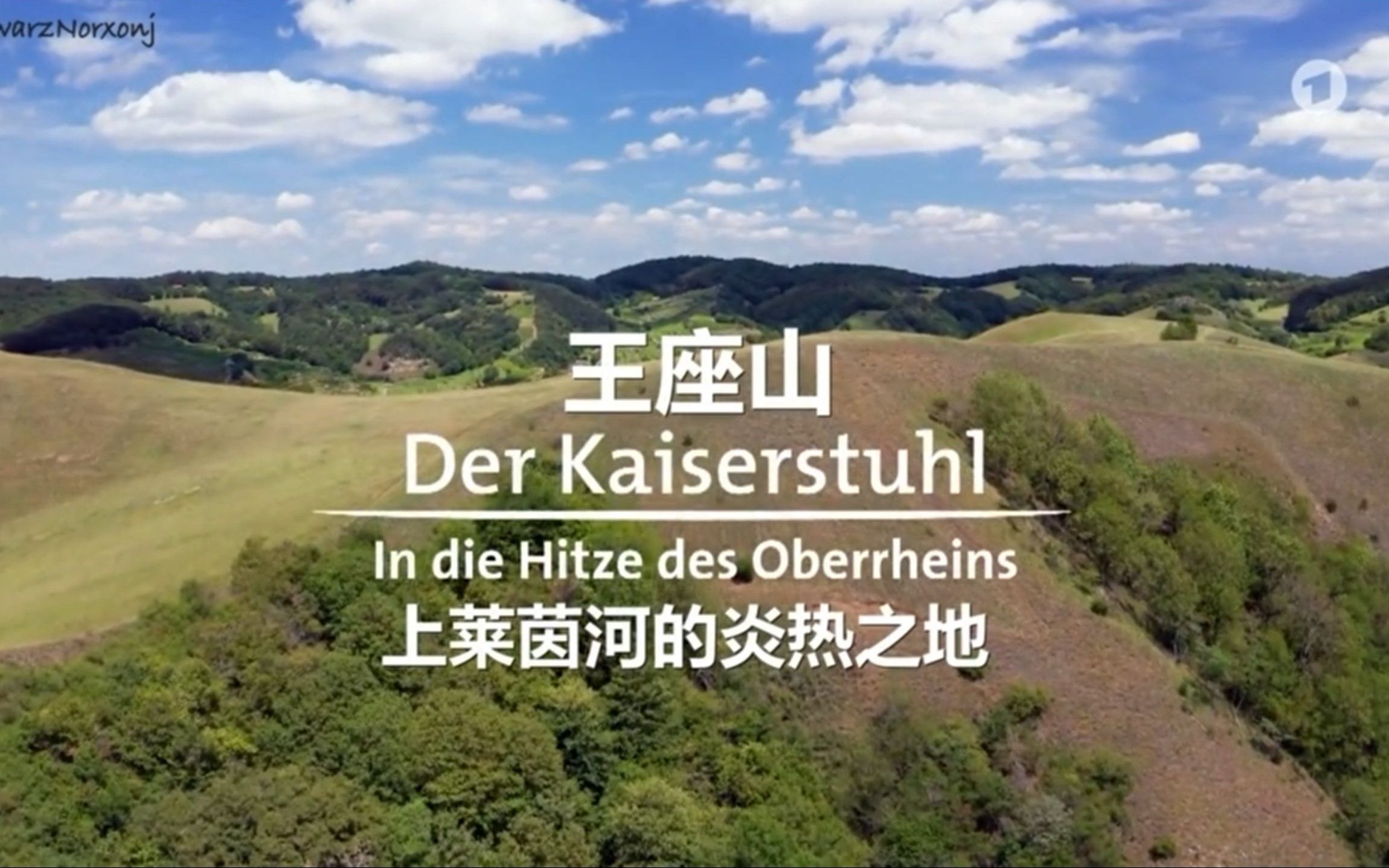 地球阅历中德字幕野性德意志王座山