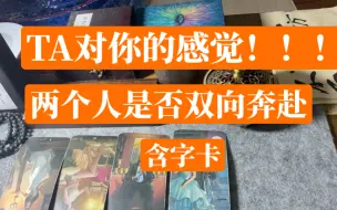 Download Video: 反向侦查！TA对你的感觉！是否双向奔赴 含字卡timeless