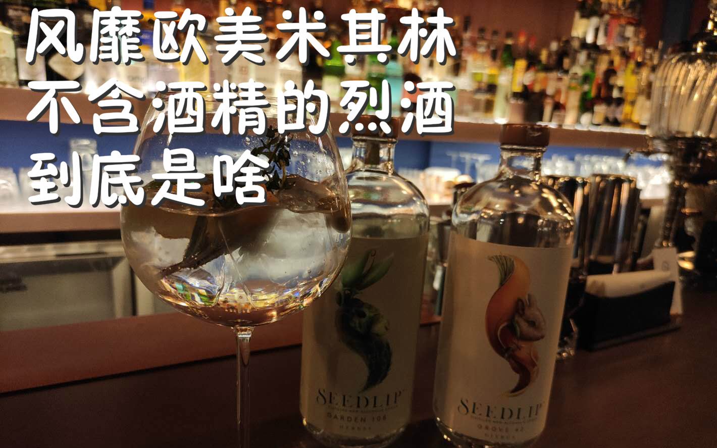 【酒吧探店】不含酒精的烈酒?米其林都用它哔哩哔哩bilibili