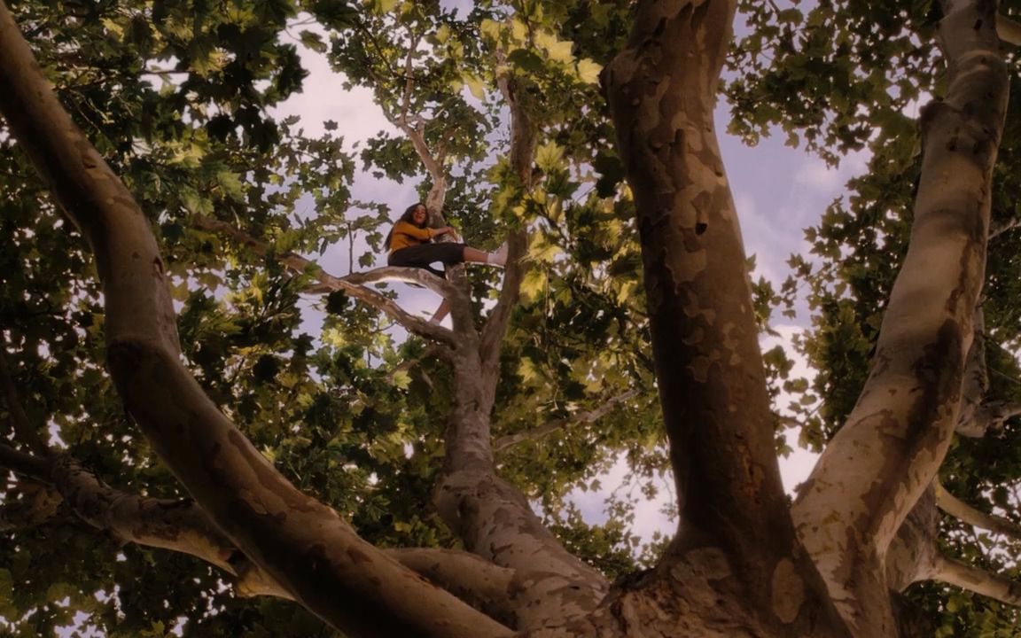 宇哥领悟人生真谛的高分爱情片怦然心动