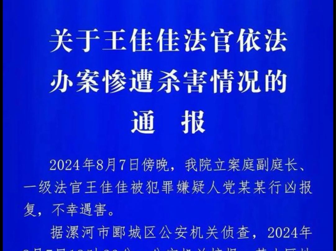 河南女法官王佳佳依法办案遭原告杀害简析哔哩哔哩bilibili