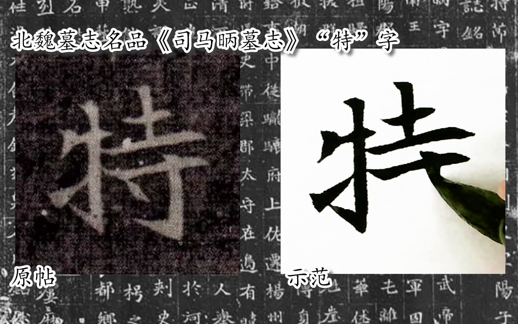 [图]【每日一字】书法系列，周东芬临北魏楷书《司马昞墓志》“特”字