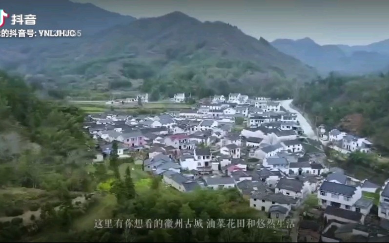 盛行天下 旅居天下哔哩哔哩bilibili