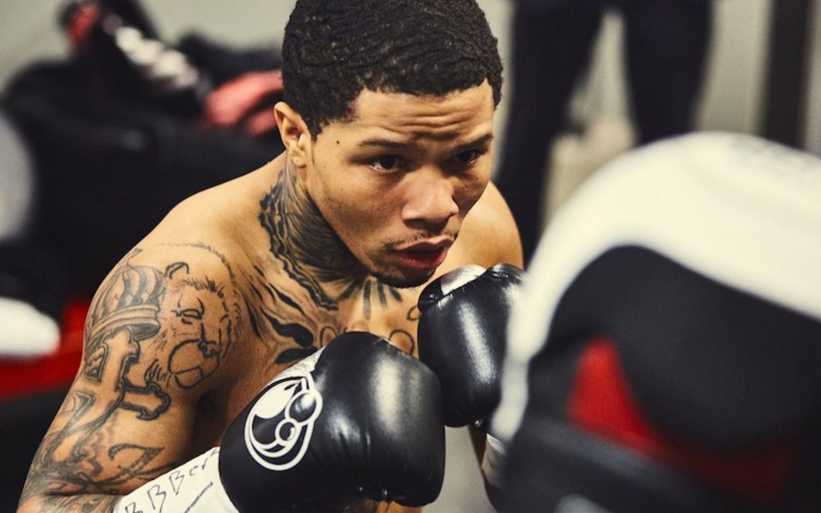 【坦克】gervonta tank davis 格尔沃塔·戴维斯 highlights 训练