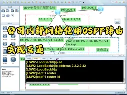 Download Video: 公司内部网络使用OSPF路由实现互通