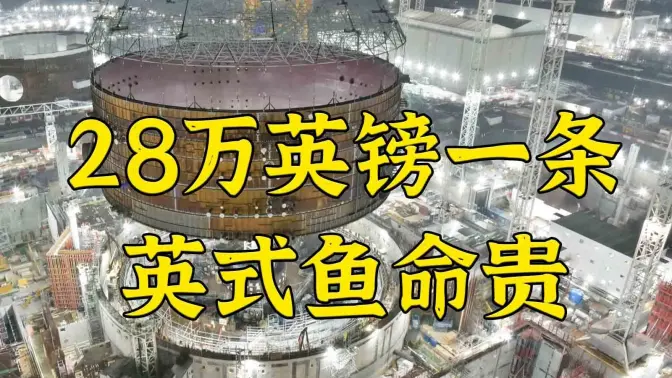 典中典:英国核电站旁的鱼每条身价都28万英镑