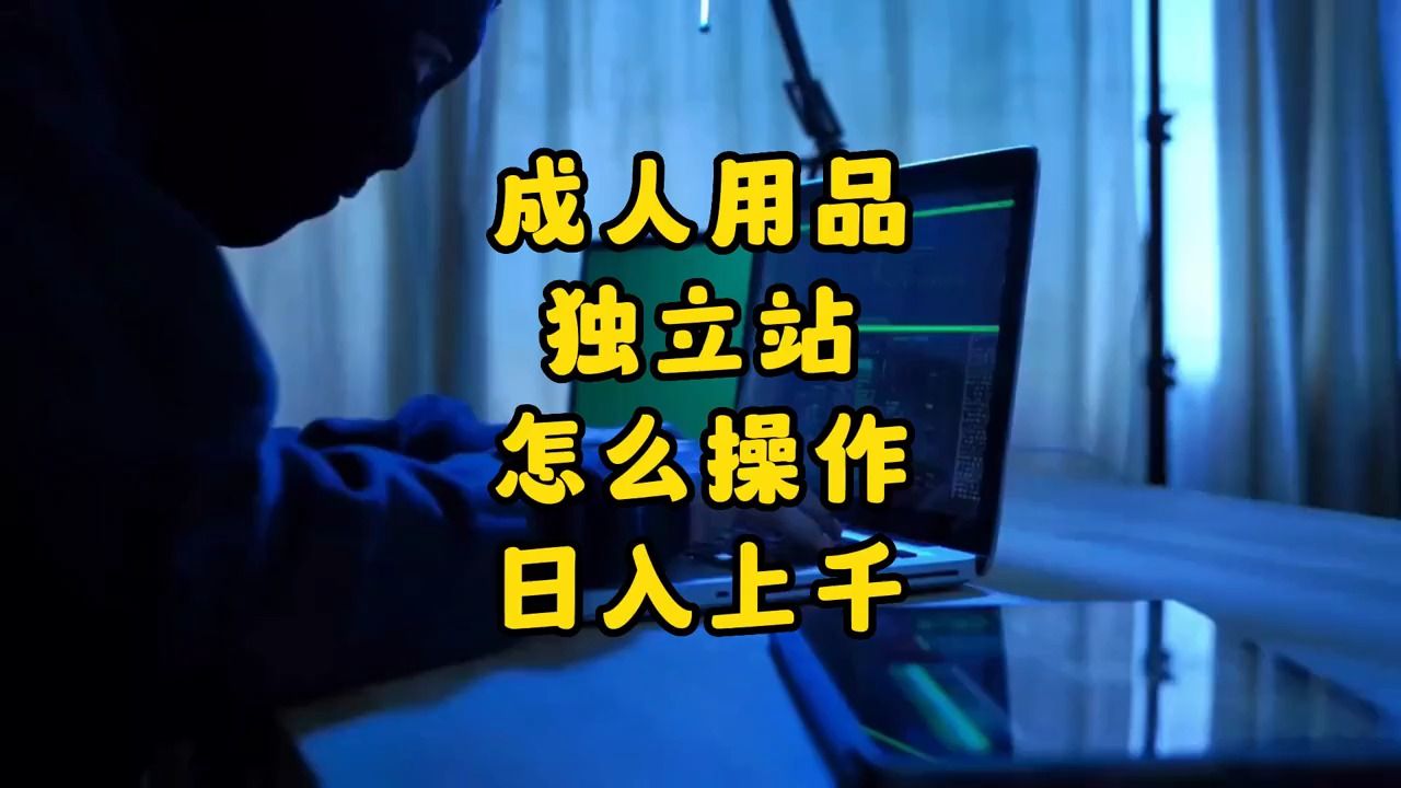 成人用品独立站怎么操作日入上千?哔哩哔哩bilibili