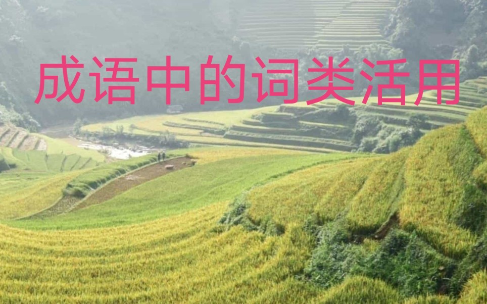 成语中的词类活用(三)哔哩哔哩bilibili