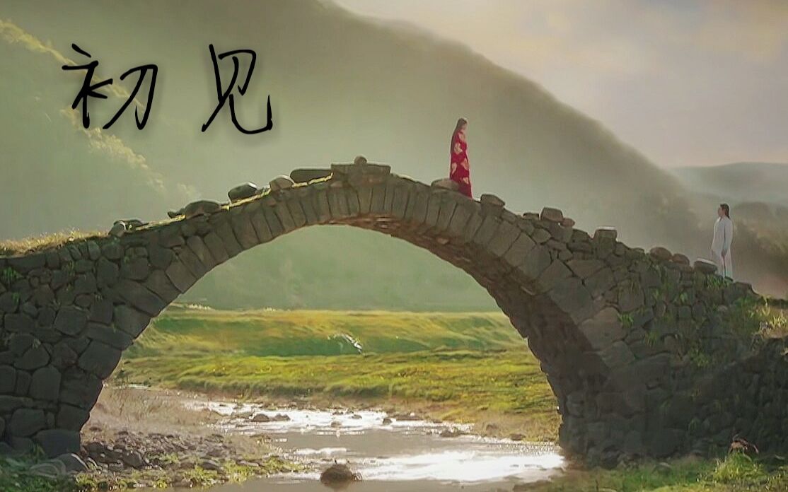 【东宫】小枫跳忘川配初见再剪辑