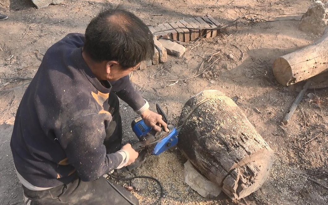 [图]整整40年树龄的烂树桩！被老爸这样简单一加工！瞬间花多少钱也难买