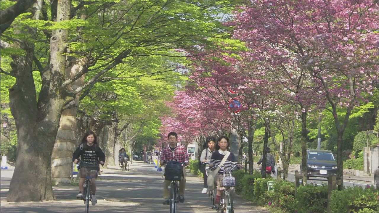 【日本留学】航拍下的日本著名国立大学冈山大学哔哩哔哩bilibili