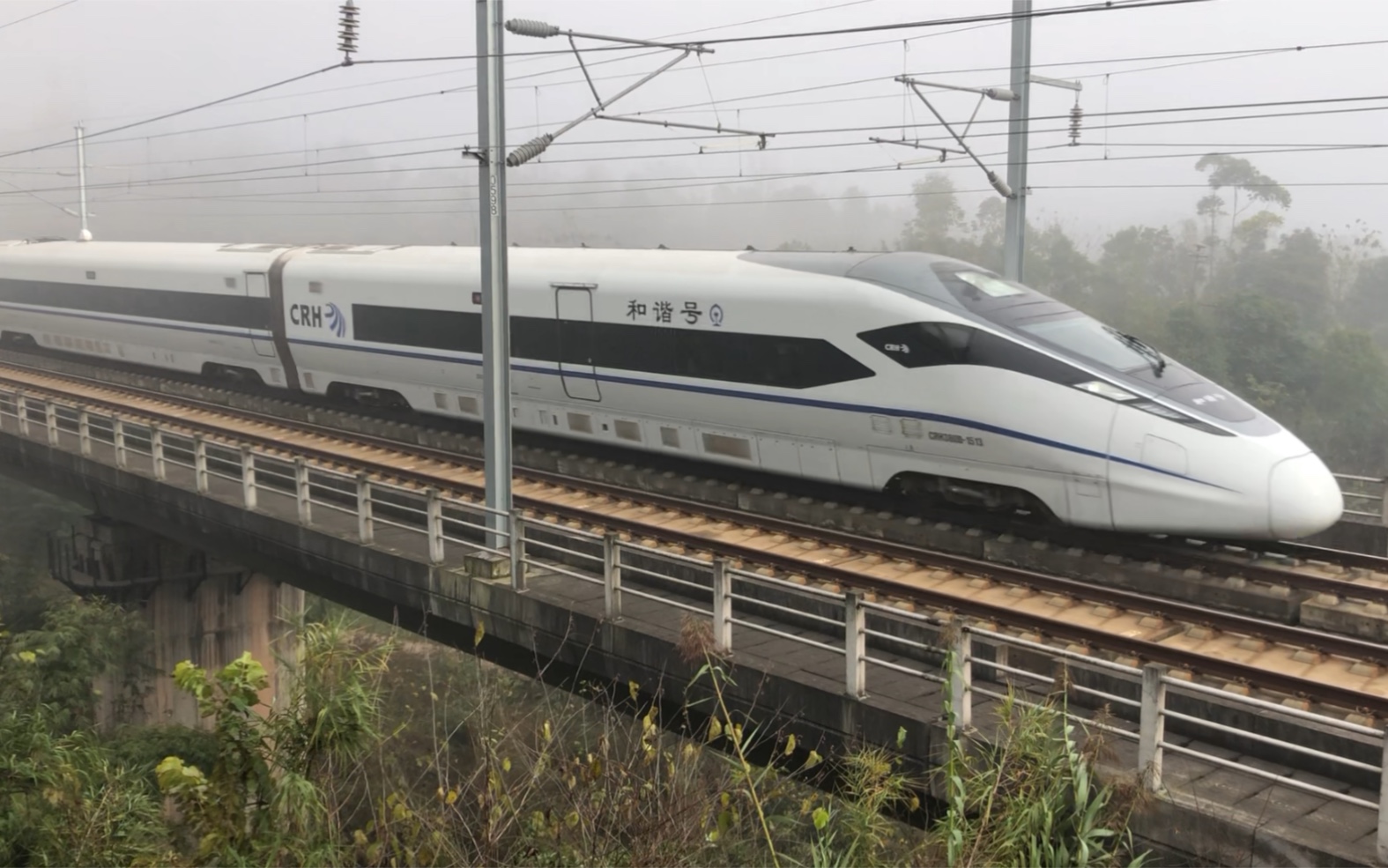 g2191成都东-上海虹桥(上海局crh380d-1513-1529)通过乐山兴福村 10