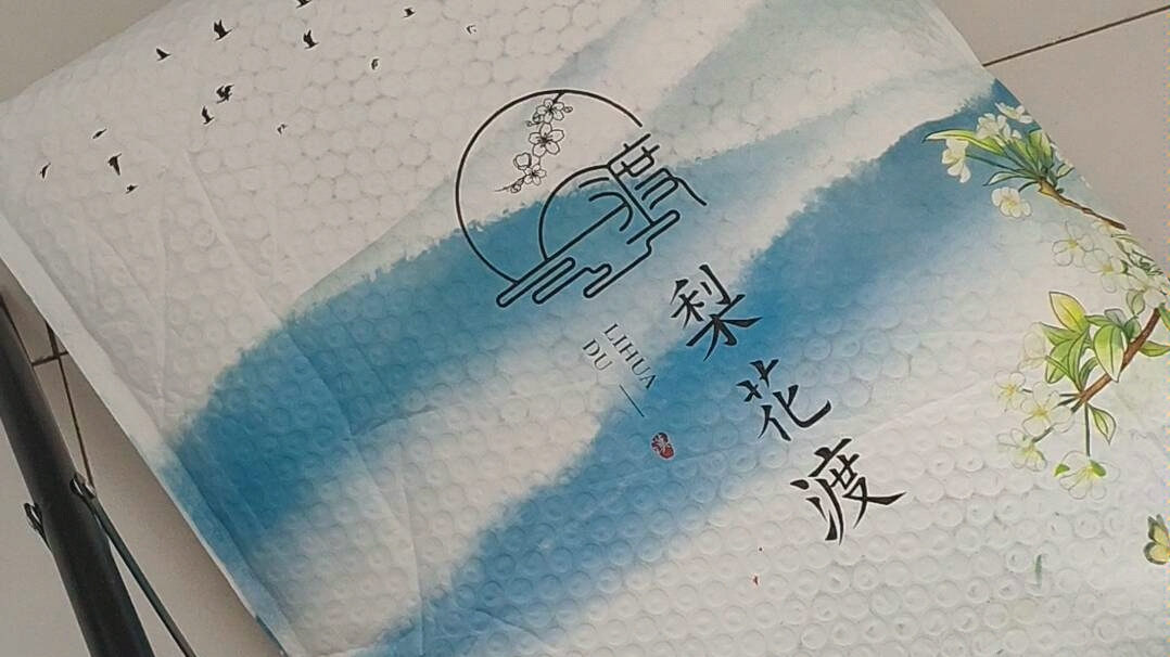 汉服开箱 梨花渡 静月棠