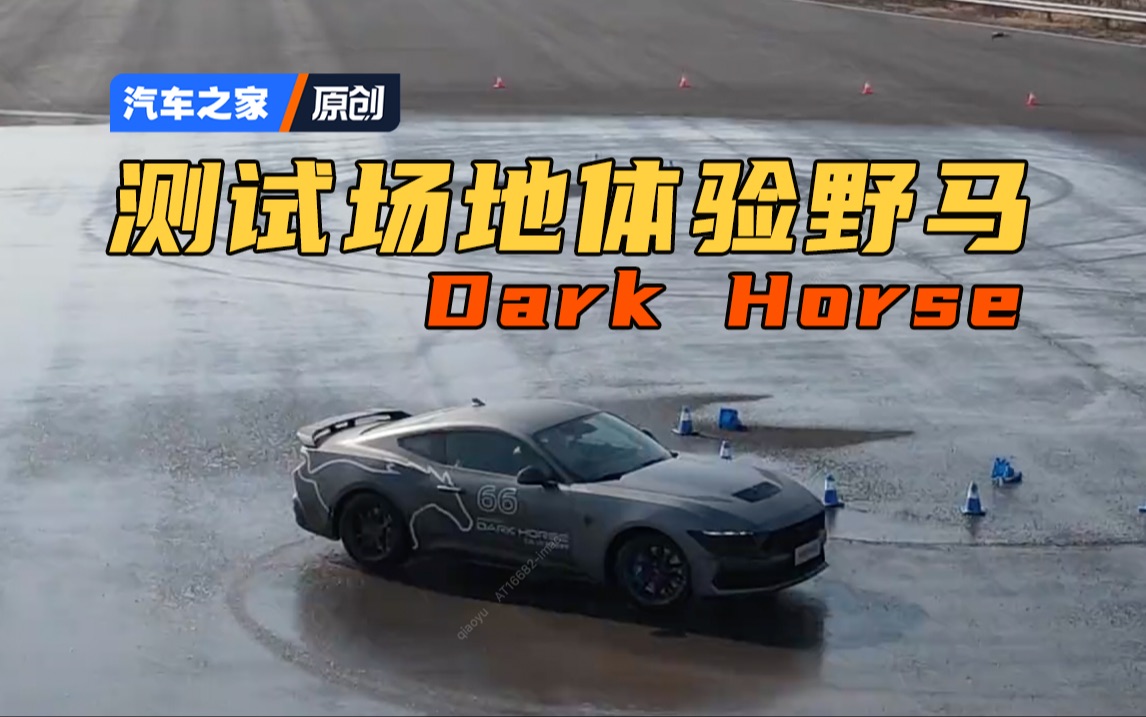 [图]体验野马Dark Horse 原厂就很炸裂