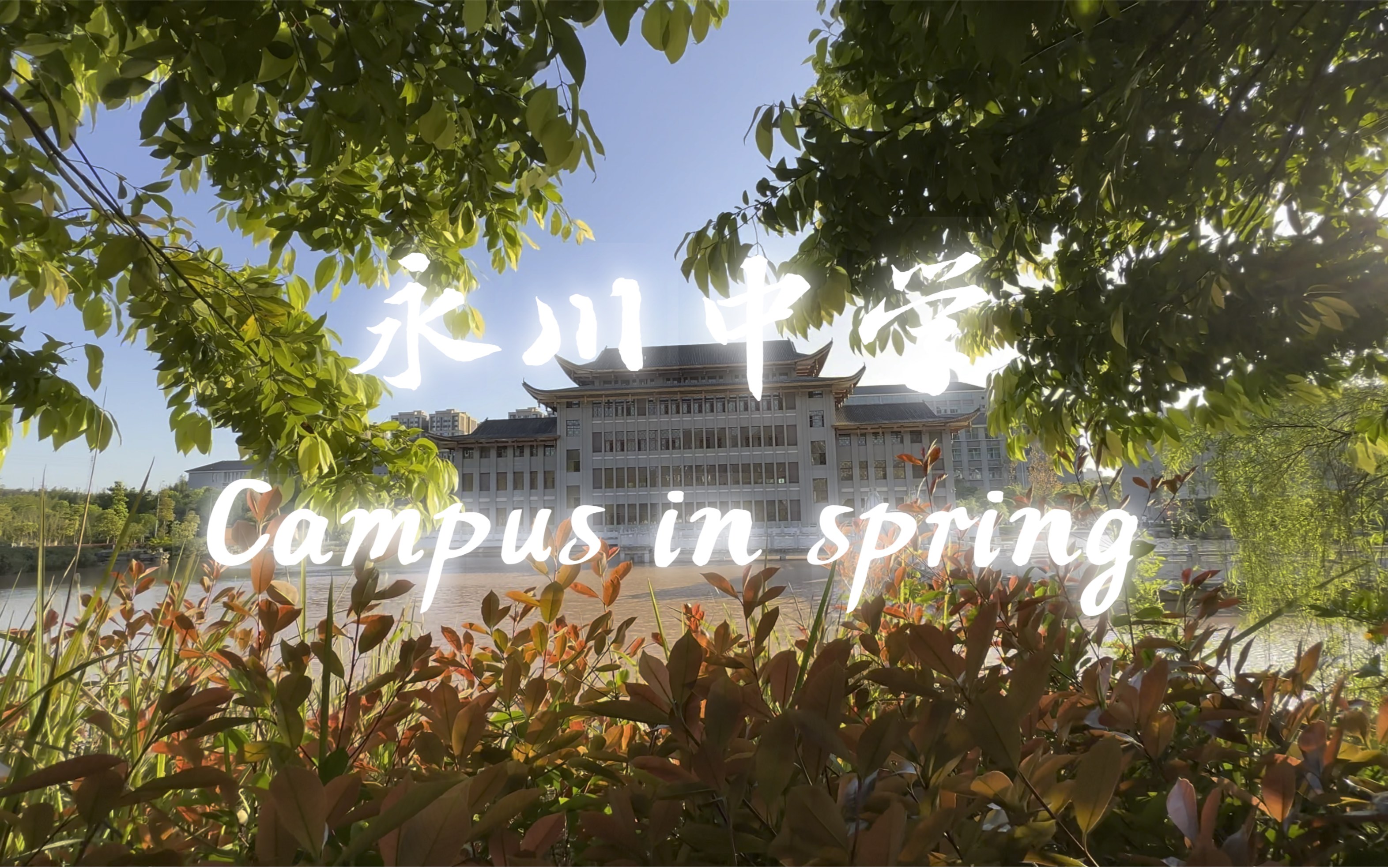 【4K杜比视界】【永川中学】Campus In Spring哔哩哔哩bilibili