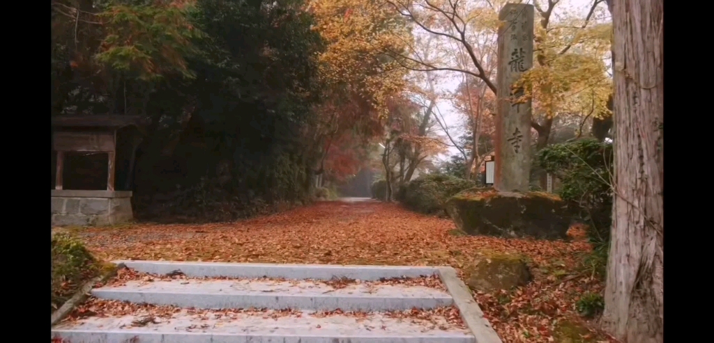 [图]夜晚的潜水艇之竹峰寺，读书分享，有声书