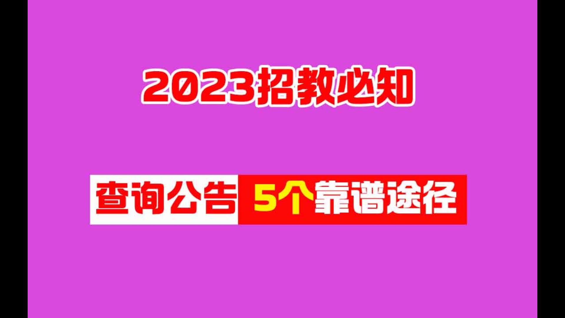 2023年报考教师招聘,我不允许你不知道如何查询公告!哔哩哔哩bilibili