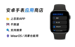 Download Video: 因为嫌手表应用少、下载慢，我随手开发了新的手表应用商店！