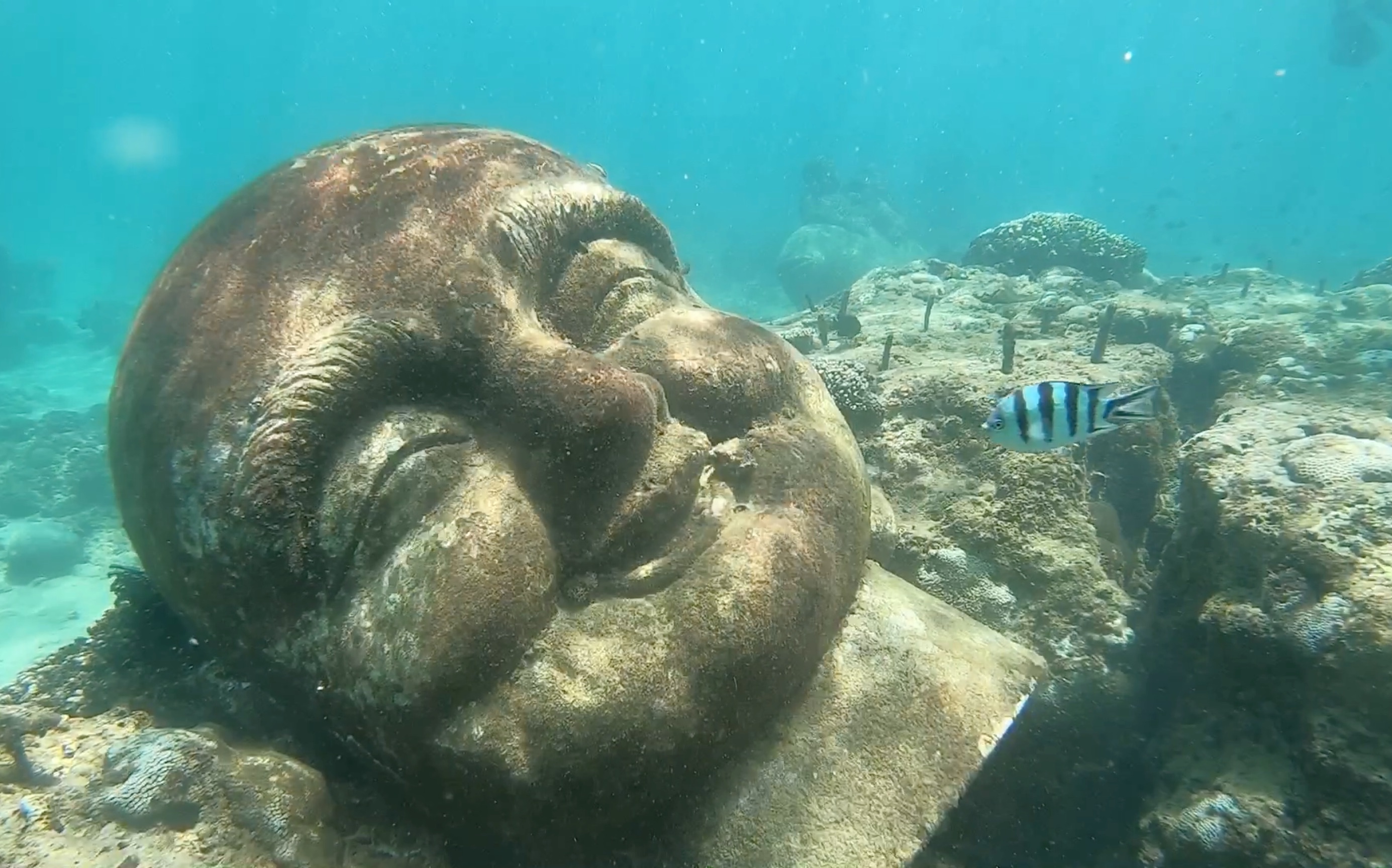 三亚远海感谢您选择分界洲岛巨像恐惧症康复中心欢迎下次光临