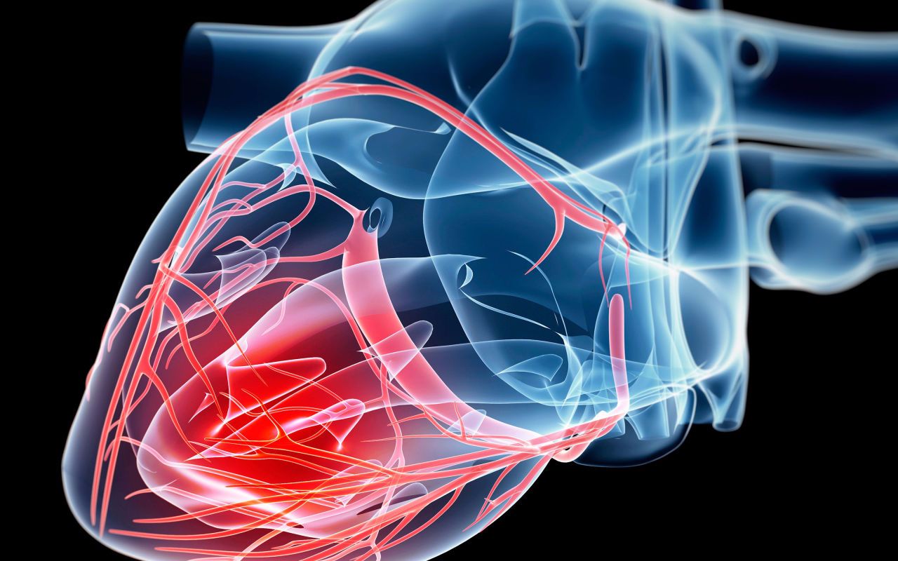 【心脏】你了解我们的心脏吗?