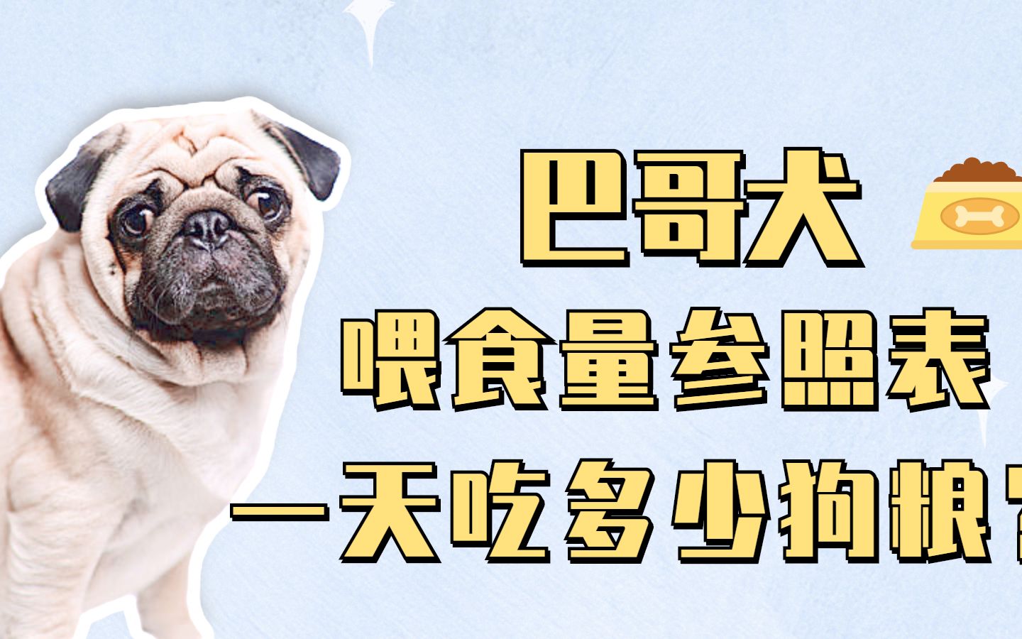 巴哥犬喂食量参照表